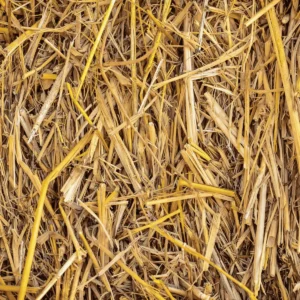 straw