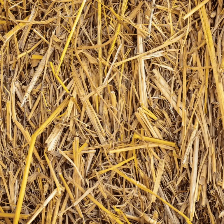 straw