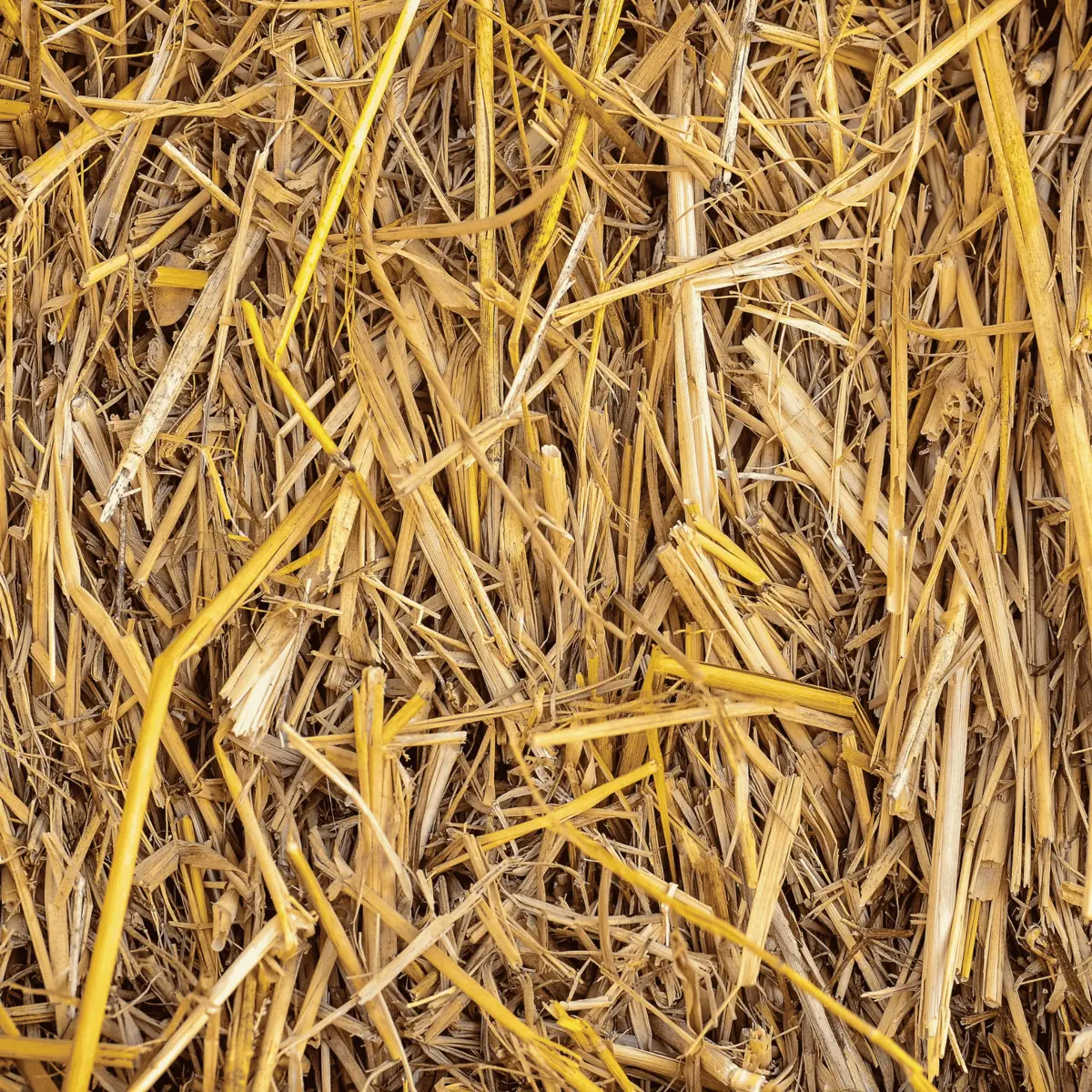 straw
