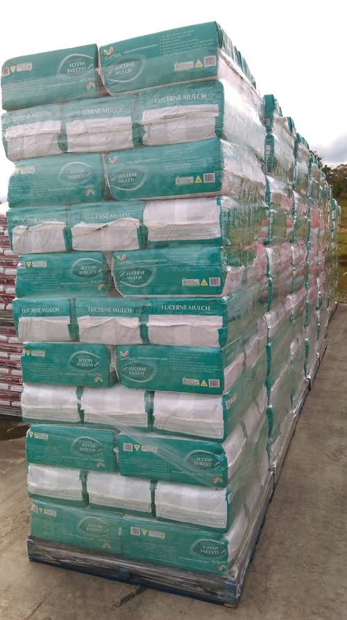 Rangée de balles de luzerne